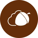 Nutstore SVG Icon